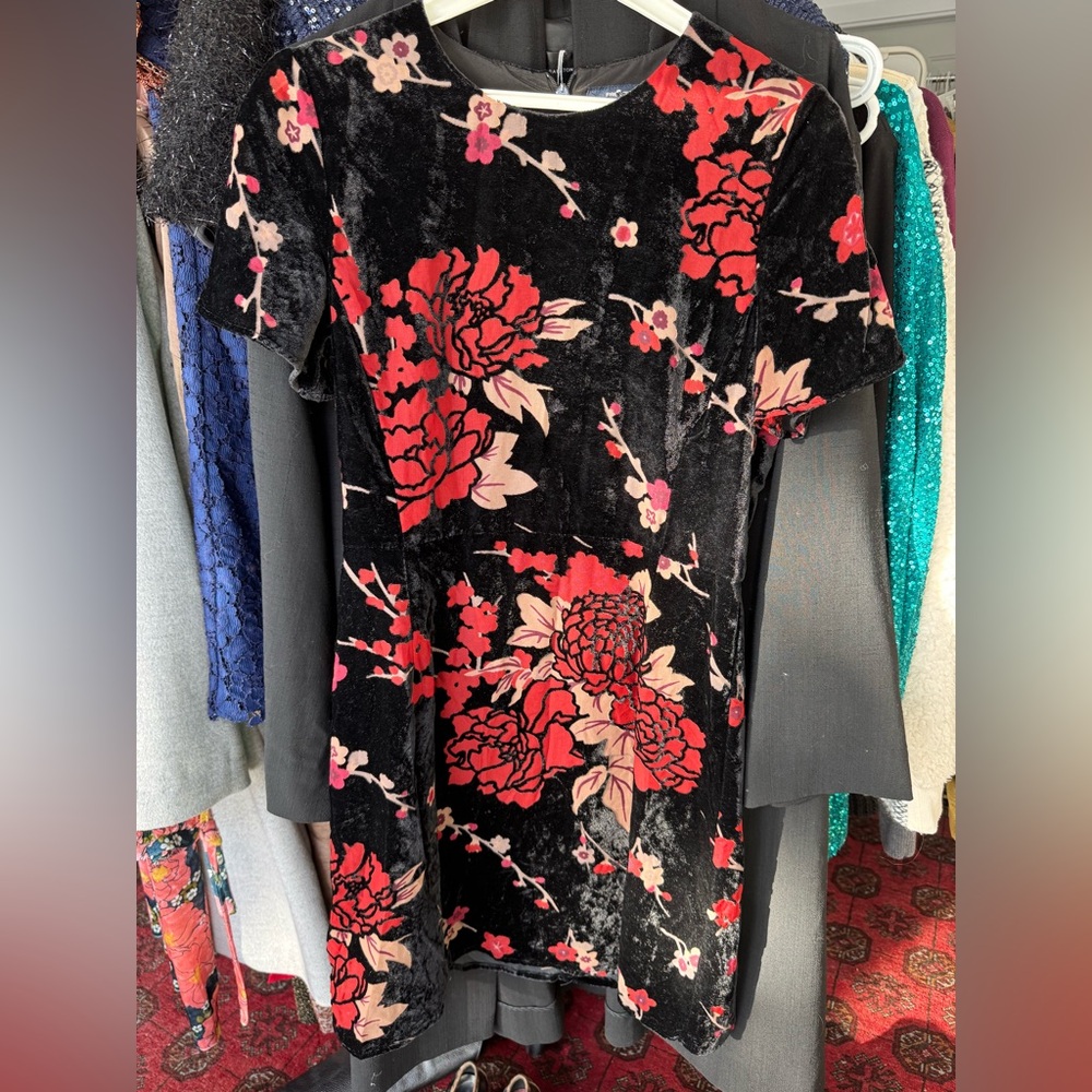Velvet French connection dress